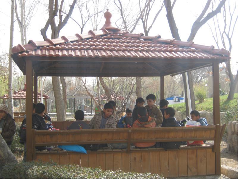 اردوی باغ پروانه ها